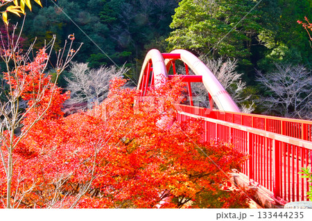 大滝渓谷の紅葉風景 大滝渓谷の紅葉風景 133444235