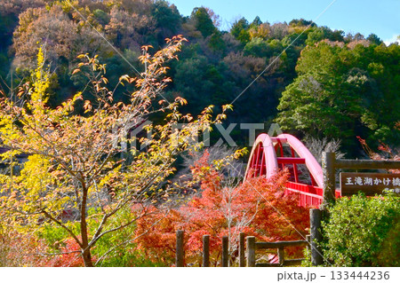 大滝渓谷の紅葉風景 133444236