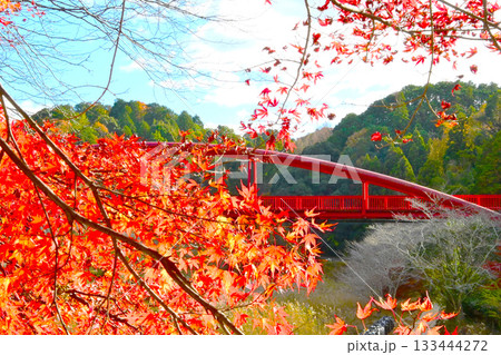 大滝渓谷の紅葉風景 大滝渓谷の紅葉風景 133444272