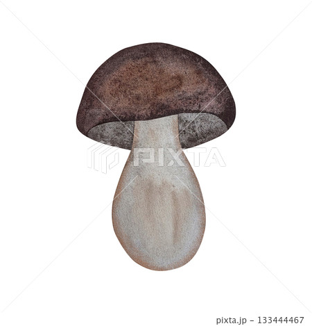 Watercolor porcini mushroom. Forest white mushroom with brown cap isolated on white background. 133444467