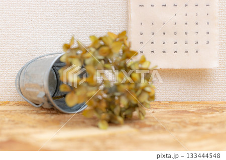 2026年1月の布製のとブリキのバケツに入った紫陽花のドライフラワーの素材写真 133444548
