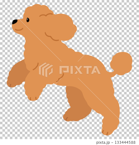 一幅簡單可愛的棕色貴賓犬奔跑插圖（沒有主要線條）。 133444588