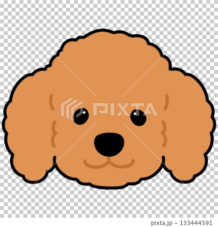 Simple and cute illustration of a brown poodle's face with outlines 133444591