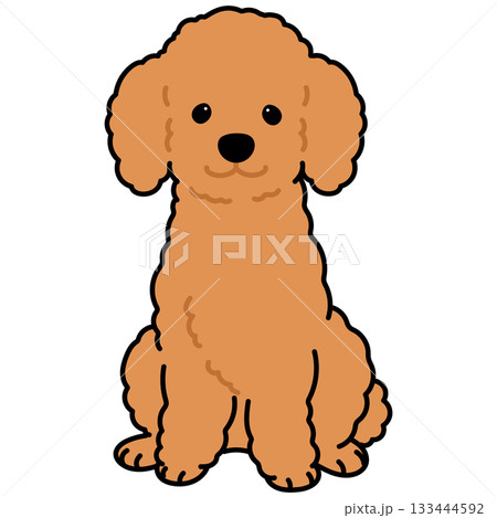 正面を向いてお座りするシンプルで可愛い茶色いプードルのイラスト　主線あり 133444592
