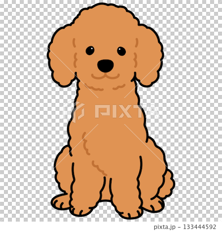 正面を向いてお座りするシンプルで可愛い茶色いプードルのイラスト　主線あり 133444592