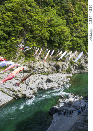 徳島県大歩危の風景 徳島県大歩危の風景 133444836