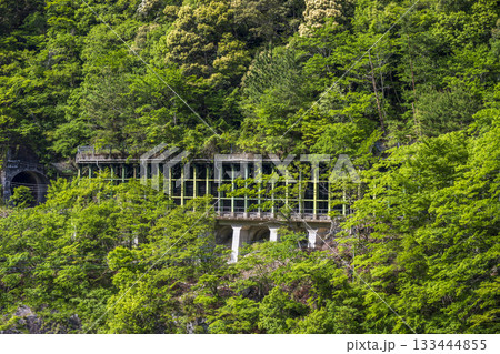 徳島県大歩危の風景 133444855