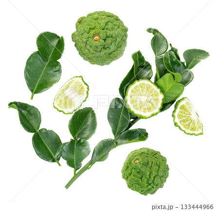 Kaffir lime fruits and leaves arranged. Includes whole fruits, halves, and sprigs with leaves, showcasing texture and vibrant green color. Isolated elements for creative use. Kaffir lime fruits and leaves arranged. Includes whole fruits, halves, and sprigs with leaves, showcasing texture and vibrant green color. Isolated elements for creative use. 133444966