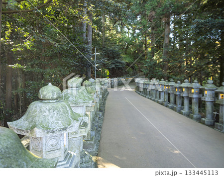 静寂に包まれた神社参道の石灯籠 静寂に包まれた神社参道の石灯籠 133445113