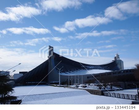雪の積もった代々木公園の風景 133445194