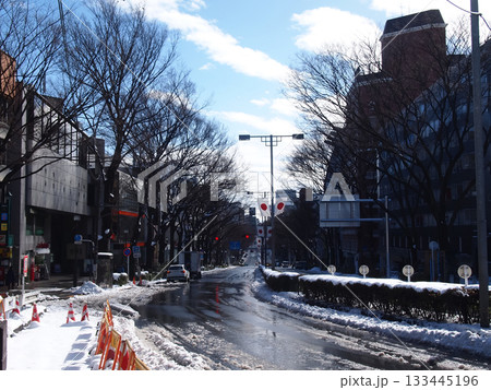 雪の東京|表参道が描く都市の冬景観 雪の東京|表参道が描く都市の冬景観 133445196