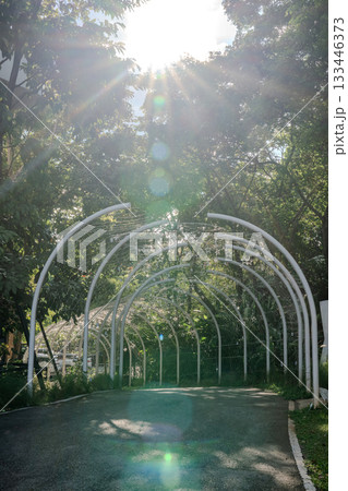 A white metal tunnel stands in a lush garden with trees on both sides, and soft daylight filters through the curved frame and hanging lights. 133446373