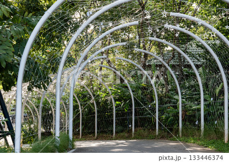 A white metal tunnel stands in a lush garden with trees on both sides, and soft daylight filters through the curved frame and hanging lights. A white metal tunnel stands in a lush garden with trees on both sides, and soft daylight filters through the curved frame and hanging lights. 133446374