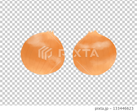 簡單的洋蔥插圖 133446623