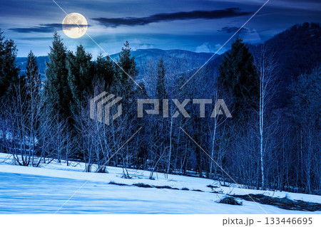 mountain landscape with mixed forest on snow covered slope at night. dark sky with clouds in full moon light. early spring. background for investment or abstract concepts. naked trees 133446695