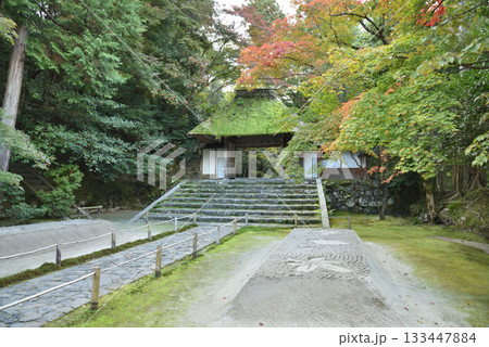 色づき始めた法然院　山門と白砂壇(京都市左京区) 133447884
