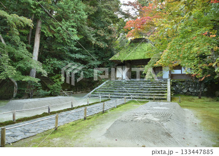 色づき始めた法然院　山門と白砂壇(京都市左京区) 133447885