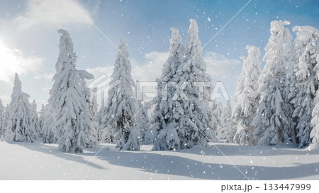 Aerial view of beautiful winter mountains with fresh powder snow 133447999