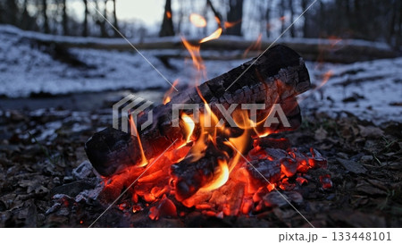 Beautiful Crackling Campfire in the Winter Spruce Forest , Authentic Place 133448101