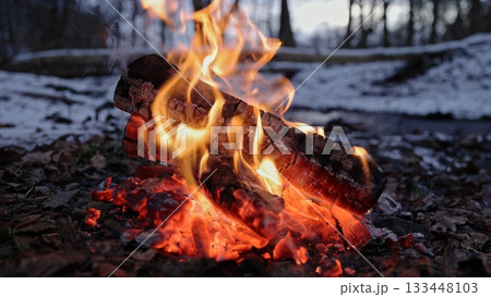 Beautiful Crackling Campfire in the Winter Spruce Forest , Authentic Place 133448103