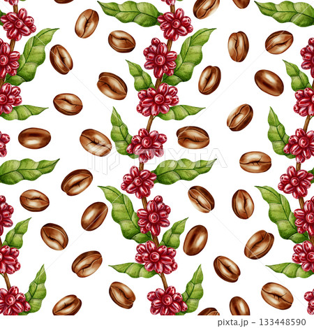 A watercolor seamless pattern with coffee twigs, red berries and leaves, and roasted coffee beans. Perfect for coffee shop branding, packaging design, menus, and textile prints. A watercolor seamless pattern with coffee twigs, red berries and leaves, and roasted coffee beans. Perfect for coffee shop branding, packaging design, menus, and textile prints. 133448590