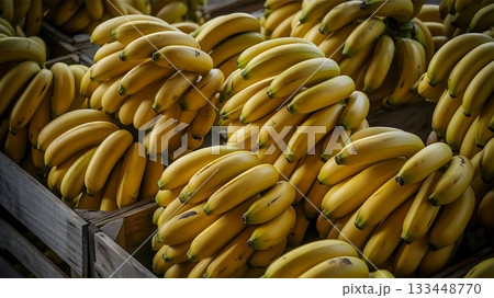 A bountiful harvest of ripe bananas stacked high in wooden crates at the market 133448770