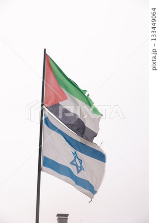 Israel and Palestine flag together in the wind Israel and Palestine flag together in the wind 133449064