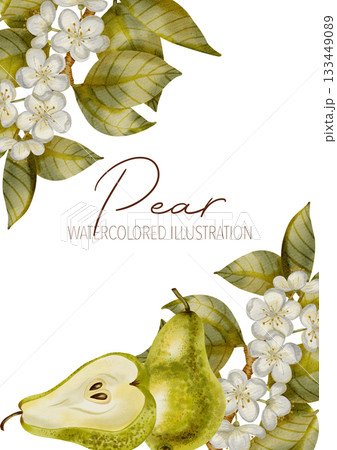 Watercolor frame with ripe pears andwith branches with flowers and leaves. Perfect for product logos, market posters, food packaging, textile patterns, and harvest-themed, Wedding invitations, menu Watercolor frame with ripe pears andwith branches with flowers and leaves. Perfect for product logos, market posters, food packaging, textile patterns, and harvest-themed, Wedding invitations, menu 133449089
