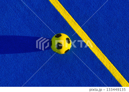 Soccer ball and dividing lines on the field. Football. Active sports. Team sports. 133449135