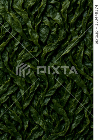 わかめのテクスチャ背景 133449374