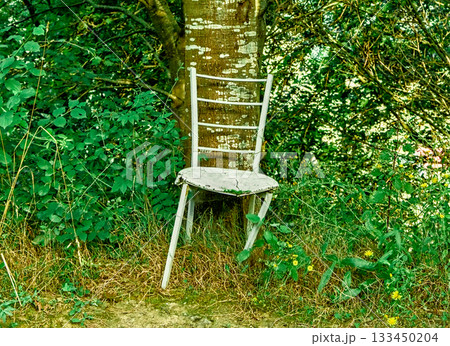 Abandoned Wooden Chair by Tree Abandoned Wooden Chair by Tree 133450204