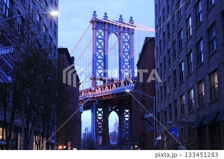 ニューヨーク冬の街並みとクリスマスイルミネーション観光風景、自由の女神、9.11メモリアル、地下鉄 133451283