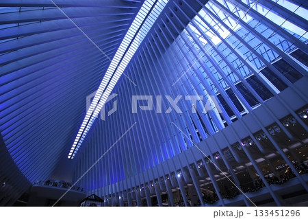 ニューヨーク冬の街並みとクリスマスイルミネーション観光風景、自由の女神、9.11メモリアル、地下鉄 133451296