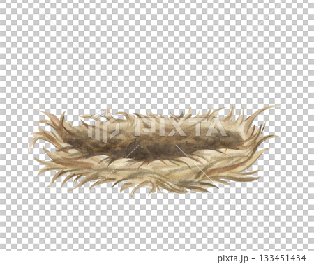 An empty hay nest for hatching eggs on an isolated background. Watercolor illustration in natural colors. Vintage realistic clipart of a round bird nest. 133451434
