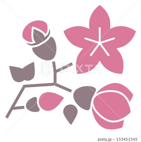 A flower with a pink stem and pink petals 133451545