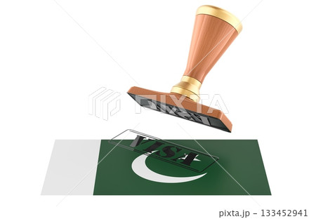 Pakistan visa stamp, wooden seal. 3D rendering Pakistan visa stamp, wooden seal. 3D rendering 133452941