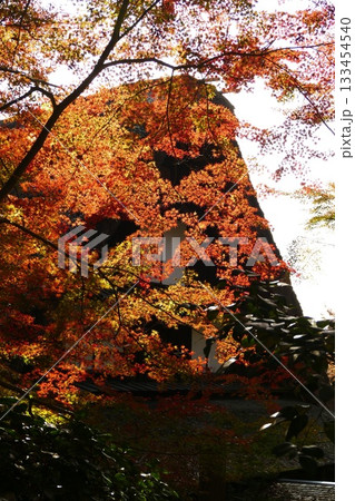 合掌家屋と紅葉 合掌家屋と紅葉 133454540