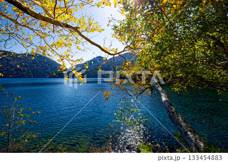 然別湖の紅葉 然別湖の紅葉 133454883
