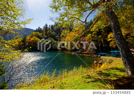 然別湖の紅葉 然別湖の紅葉 133454885