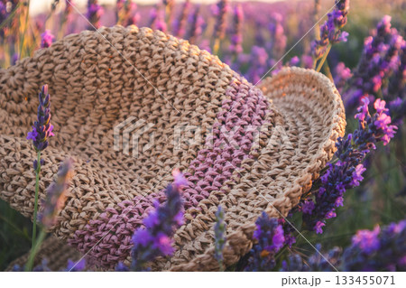Straw hat resting in a field of lavender flowers. Close-up of a woven straw hat nestled among purple lavender blossoms Straw hat resting in a field of lavender flowers. Close-up of a woven straw hat nestled among purple lavender blossoms 133455071