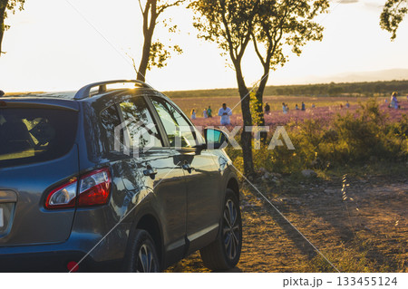 A grey car parked by trees at sunset overlooking a field. An automobile is parked near trees with the sun shining through the branches, overlooking a summer meadow. People can be seen in the distance. 133455124