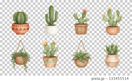 水彩仙人掌和多肉植物貼紙套裝 水彩仙人掌和多肉植物貼紙套裝 133455514