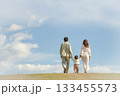 青空と緑の中を歩く家族のポートレート 133455573