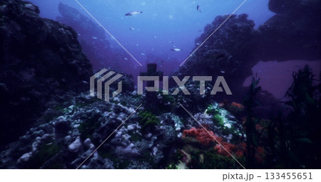 Beneath the surface, a cross stands among colorful coral formations. Schools of fish swim by in a serene underwater environment teeming with life. Beneath the surface, a cross stands among colorful coral formations. Schools of fish swim by in a serene underwater environment teeming with life. 133455651