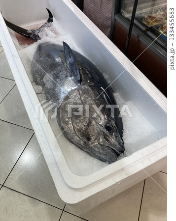 新鮮なマグロ 新鮮なマグロ 133455683