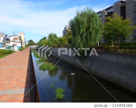 石神井川 133456166