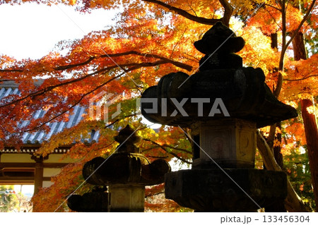 灯籠のある風景 灯籠のある風景 133456304