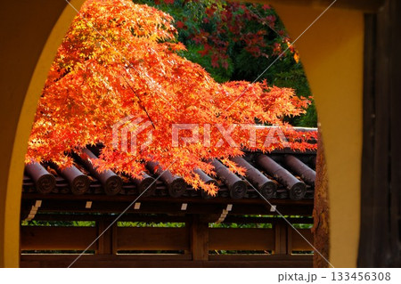 丸い窓からのぞく紅葉のある風景 133456308