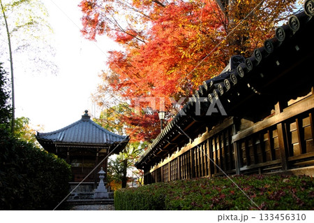 紅葉に包まれた山門 133456310