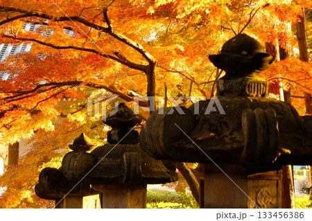 紅葉を背景にした石灯籠 133456386